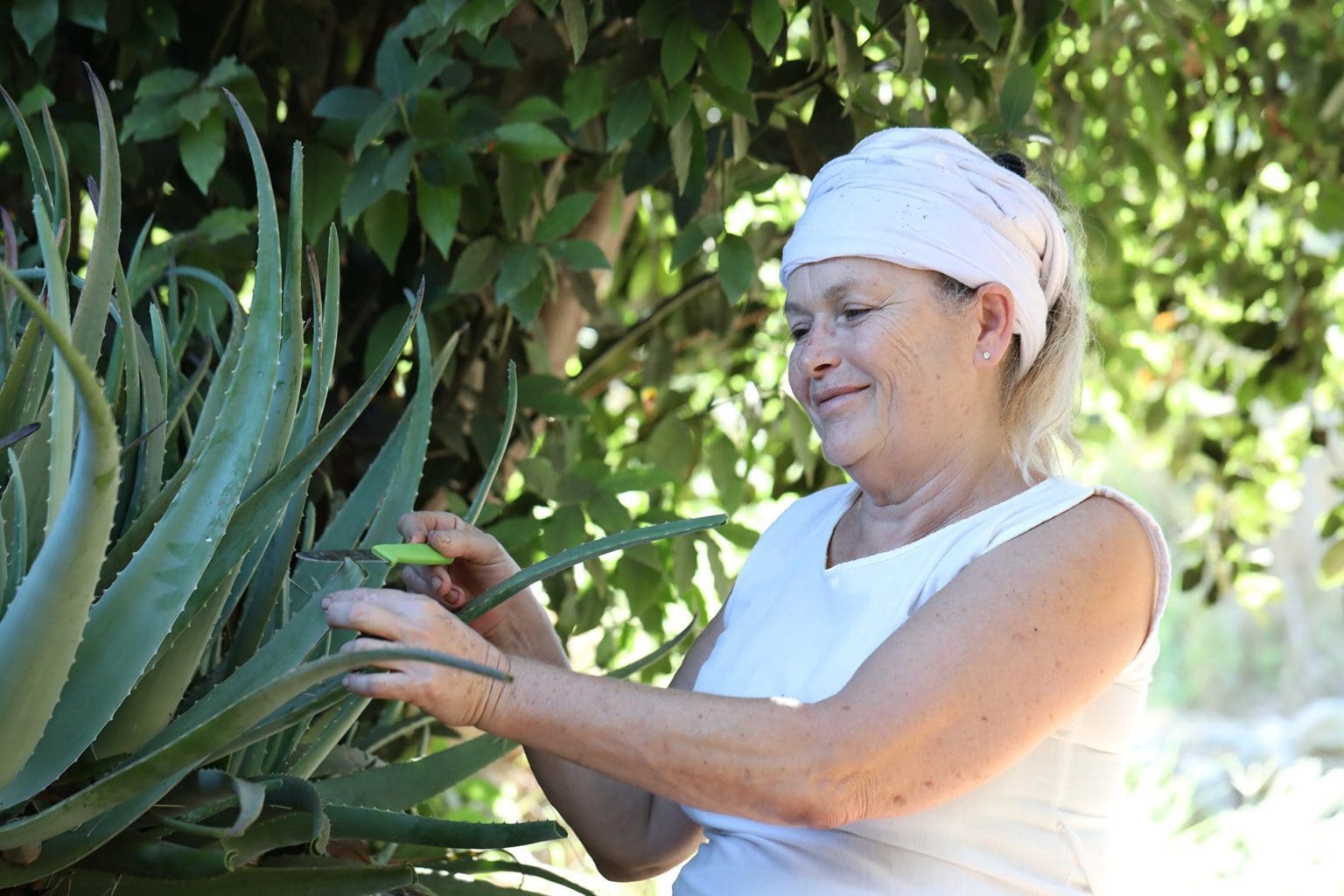 חוה תפוחי צילום אלדד מאסטרו