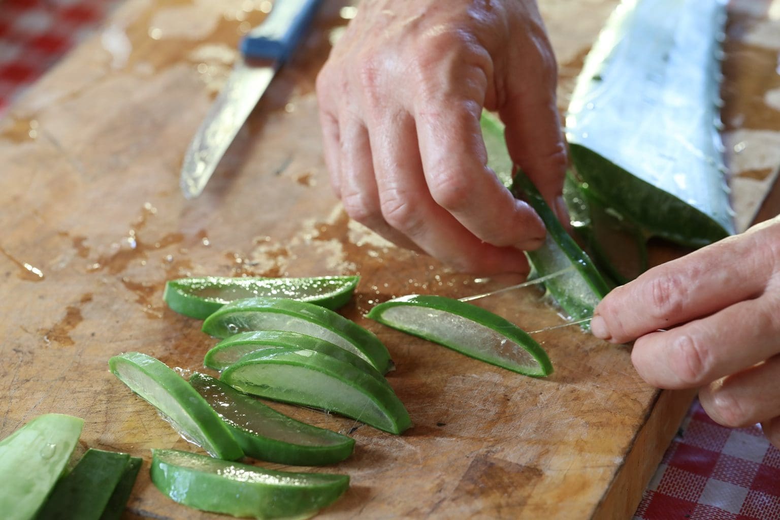 חוה תפוחי צילום אלדד מאסטרו(1)