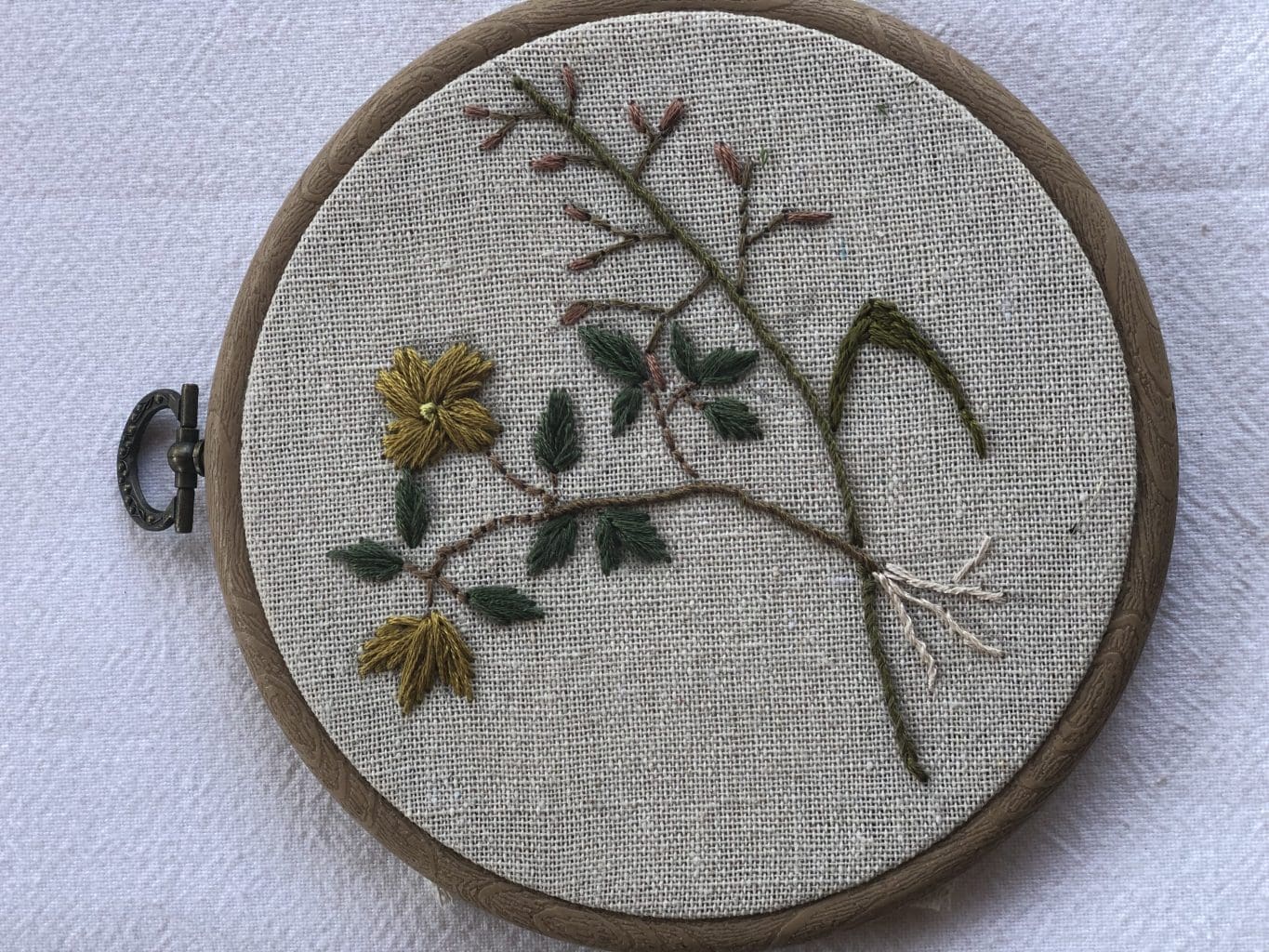 מוריאל אלון