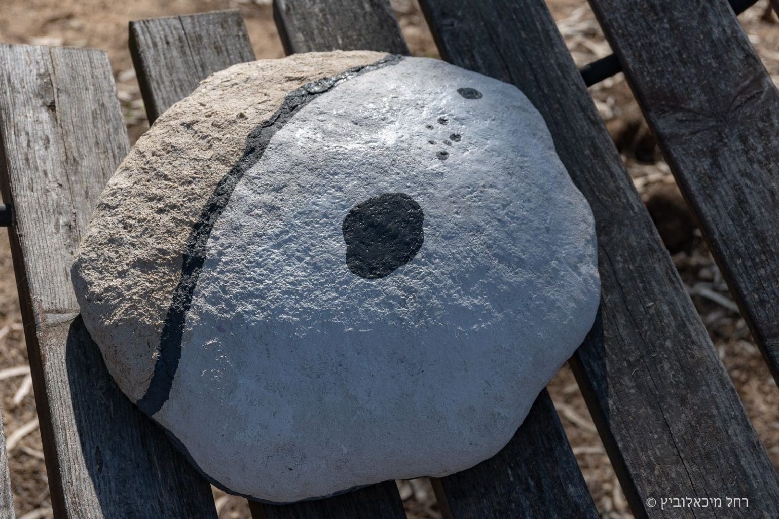 נורית רינסקי4