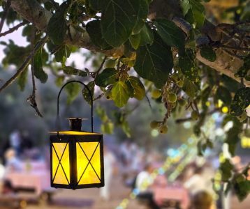 לילות אהבה בנאות קדומים