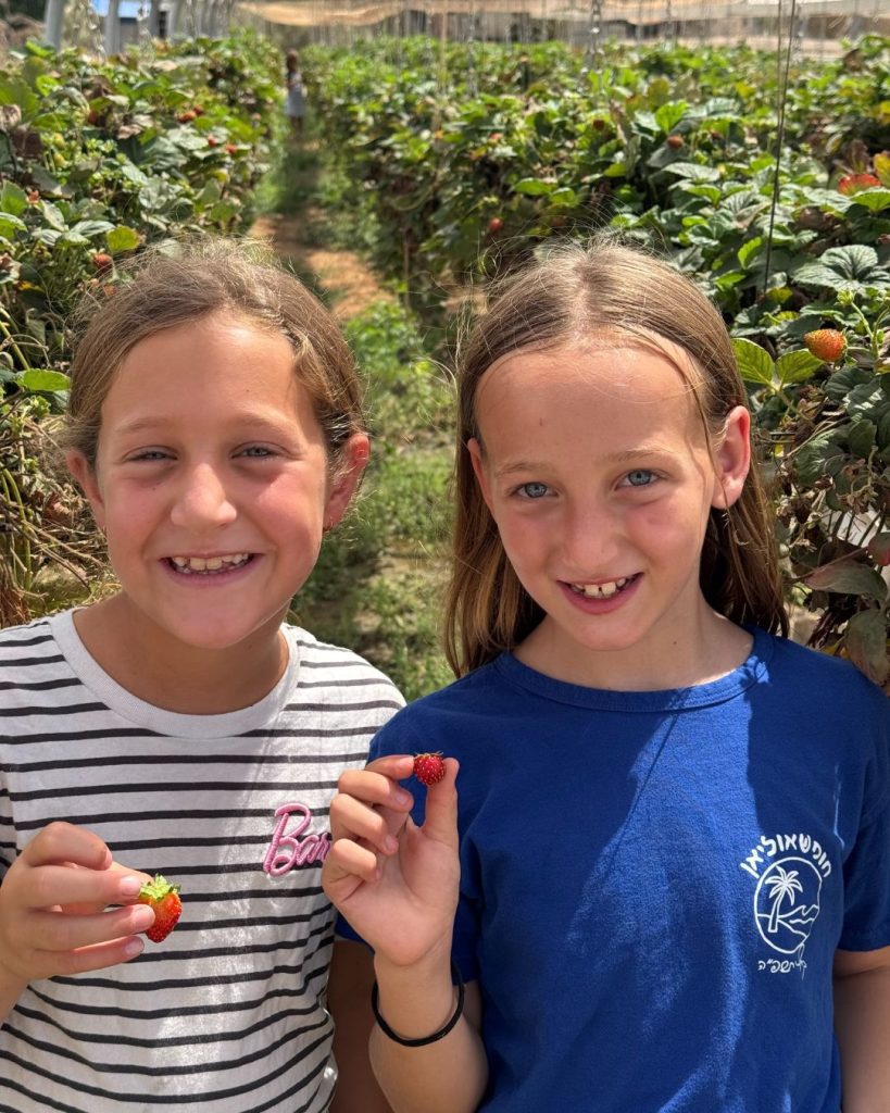 קטיף משק פורר. צילום: אוריה פורר