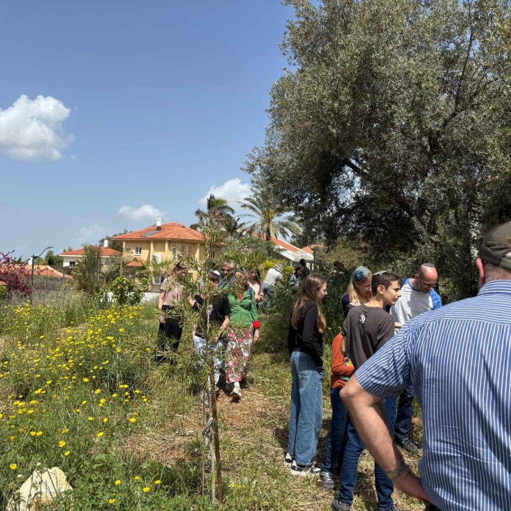 בוסתן בראשית