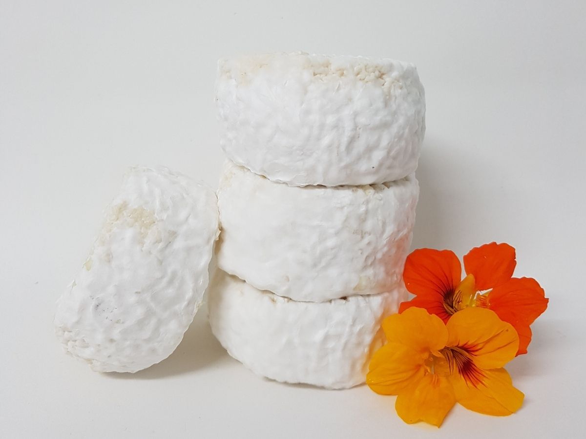 דורון מן הטבע